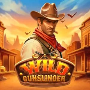 Wild Gunslinger