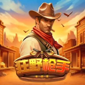 Wild Gunslinger